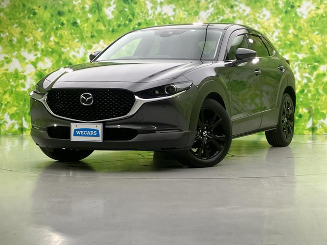 CX-301.8 XD ブラックトーンエディション