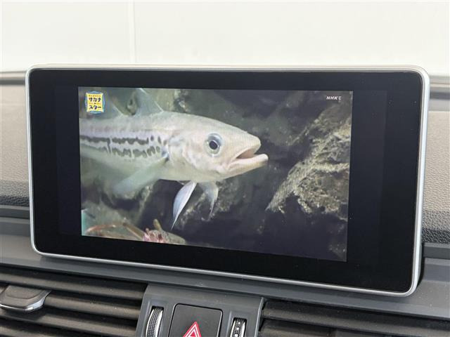 Q540 TDI クワトロ スポーツ ディーゼル 4WD