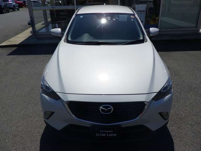 CX-31.5 XD