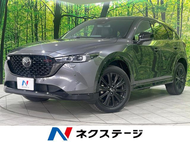 CX-5�i�}�c�_�j2.2 XD �X�|�[�c�A�s�A�����X ���Îԉ摜