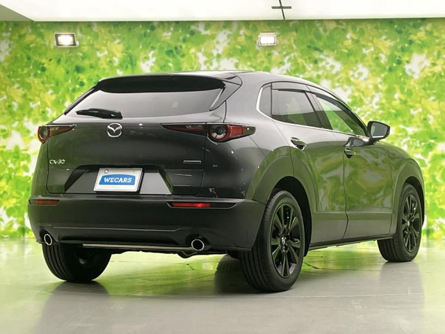 CX-301.8 XD ブラックトーンエディション