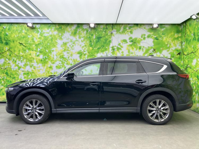 CX-82.5 25S