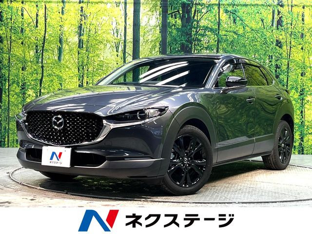 CX-302.0 20S ブラックトーンエディション