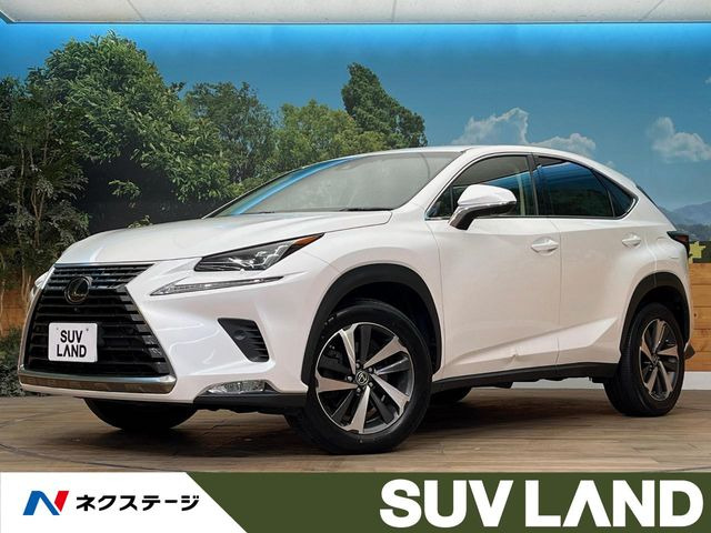 NX200t Iパッケージ