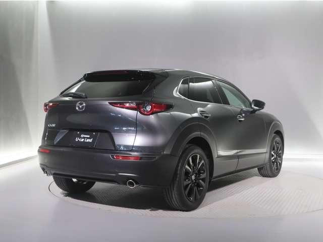 CX-302.0 20S