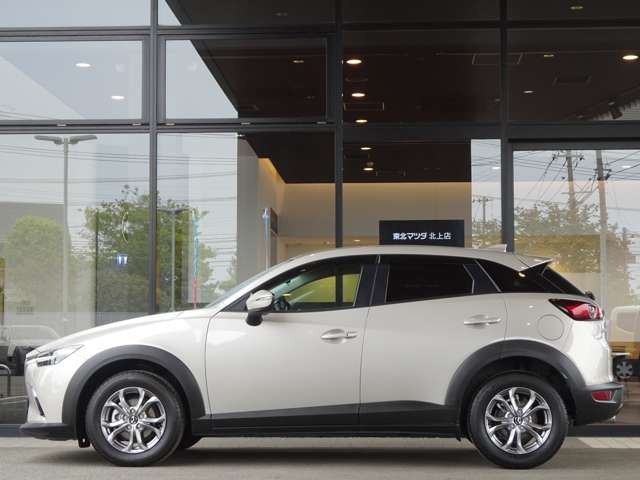 CX-3
