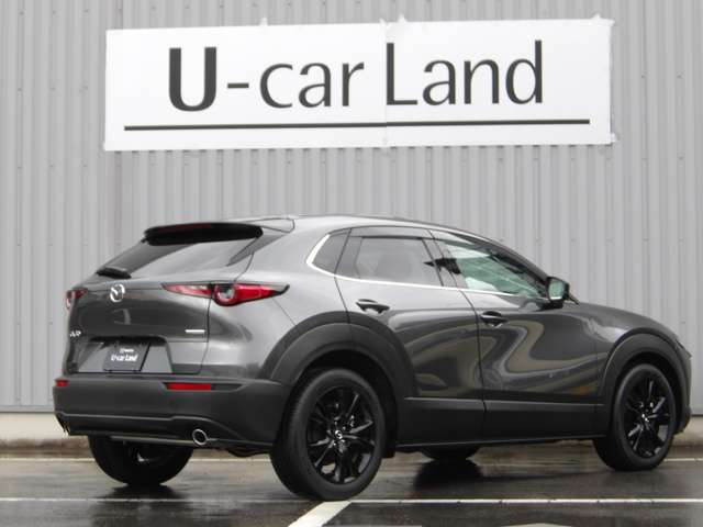 CX-30