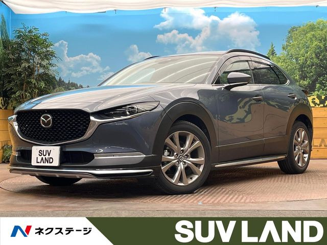 CX-302.0 20S プロアクティブ ツーリングセレクション