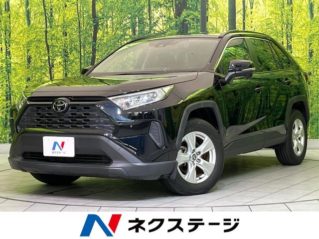 RAV42.0 X