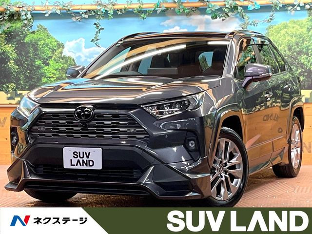 RAV42.0 G Zパッケージ 4WD