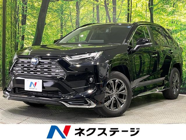 RAV42.5 ハイブリッド G E-Four 4WD