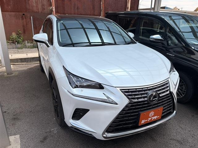NX�i���N�T�X�j300 �o�[�W����L 4WD�@�։��� �T�����[�t ����10.3�C���`�i�r ���Îԉ摜