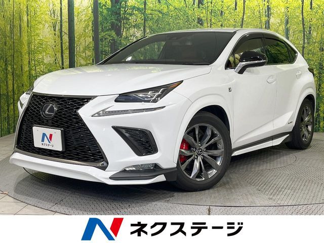 NX�i���N�T�X�j300h F�X�|�[�c ���Îԉ摜