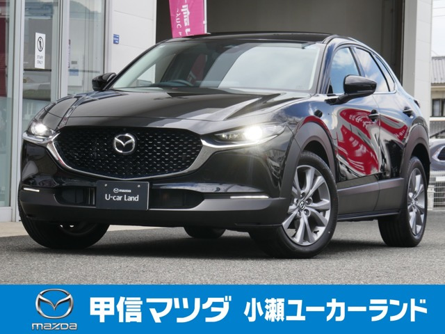 CX-302.0 20S ツーリング