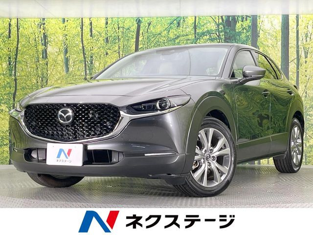 CX-302.0 20S プロアクティブ ツーリングセレクション