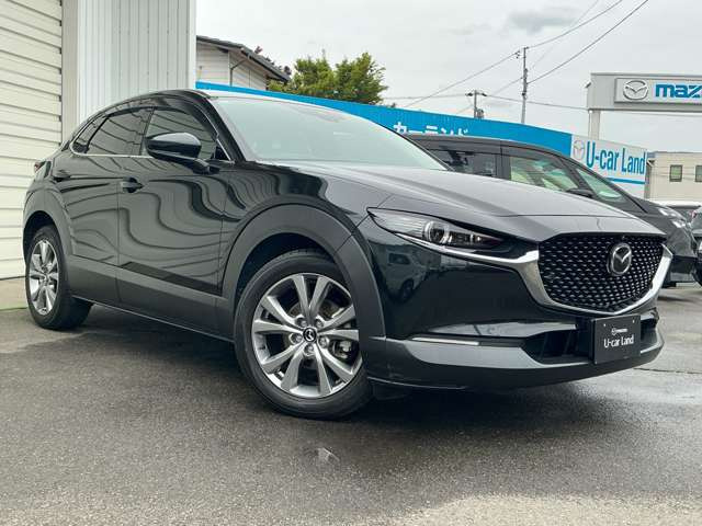CX-301.8 XD プロアクティブ ツーリングセレクション 4WD