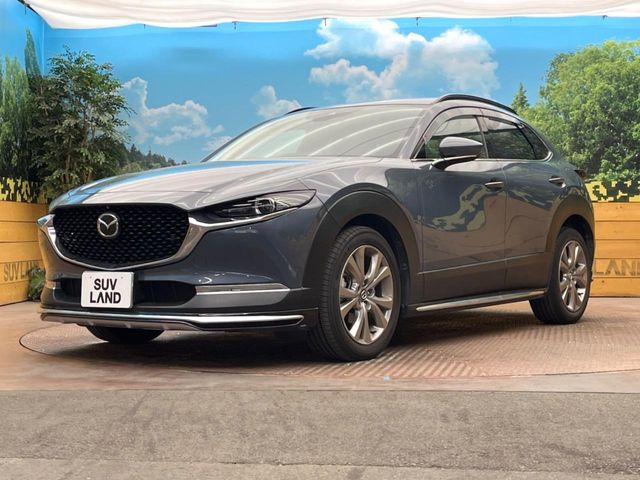 CX-302.0 20S プロアクティブ ツーリングセレクション