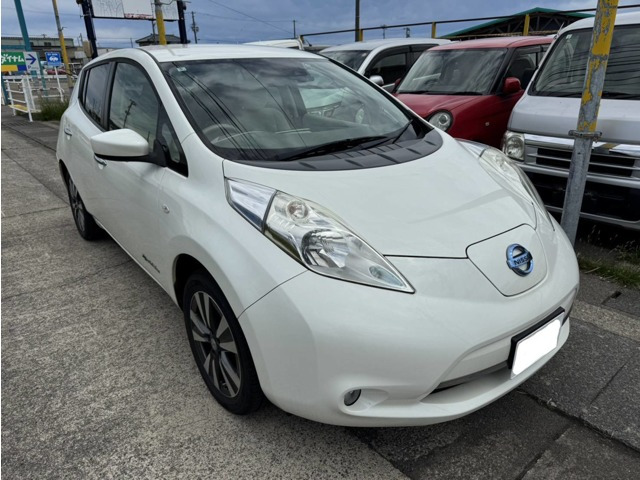 リーフ24kWh X