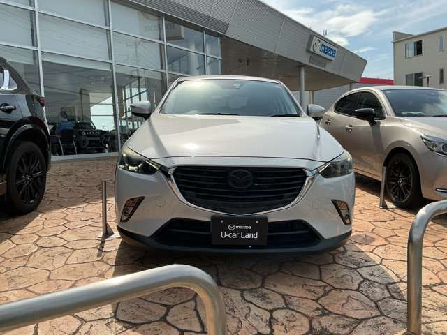 CX-31.5 XD