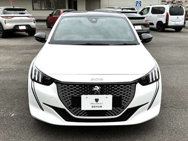 e-208GT