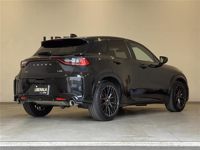 LBXモリゾウ RR 4WD
