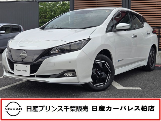 リーフe+ X