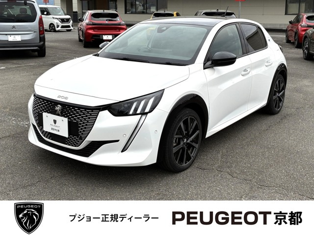 e-208GT