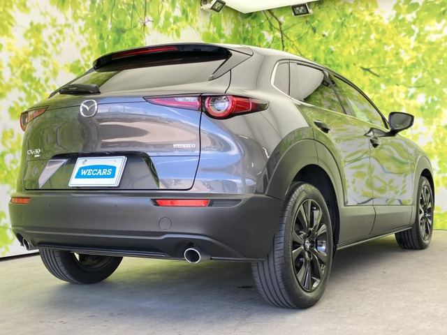 CX-301.8 XD ブラックトーンエディション 4WD