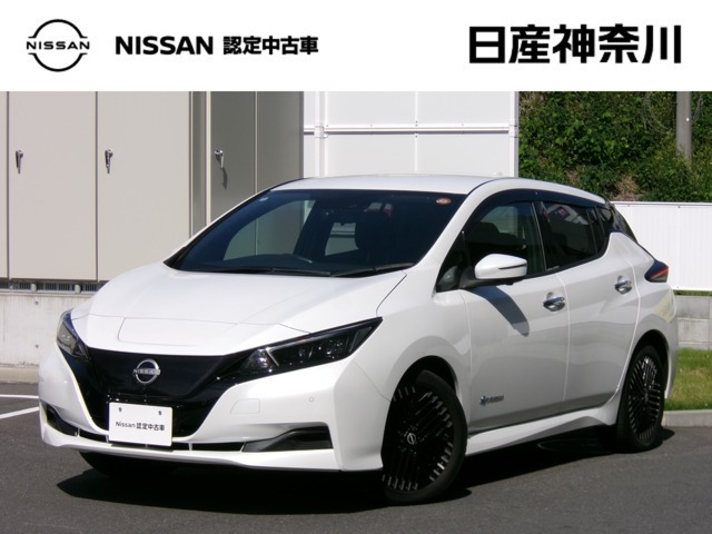 リーフ