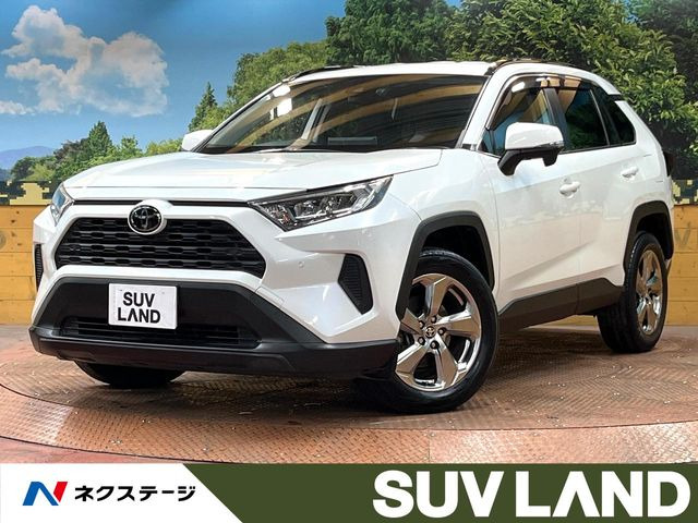 RAV42.0 X