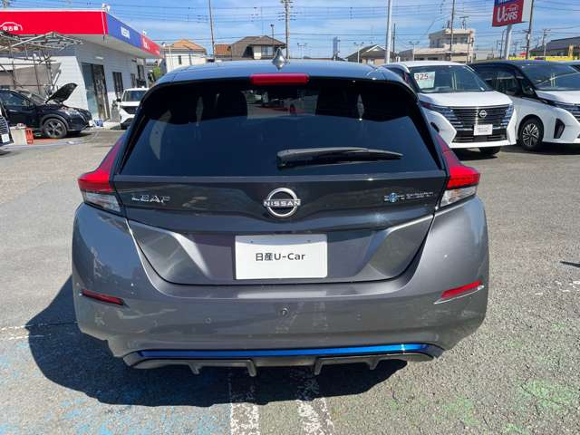 リーフe+ G