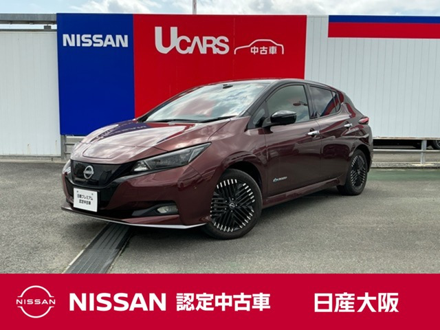 リーフe+ G