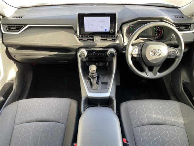 RAV42.0 X