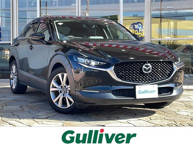CX-301.8 XD Lパッケージ