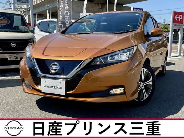 リーフG