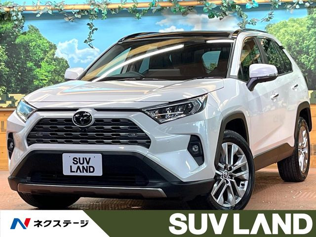 RAV42.0 G Zパッケージ 4WD