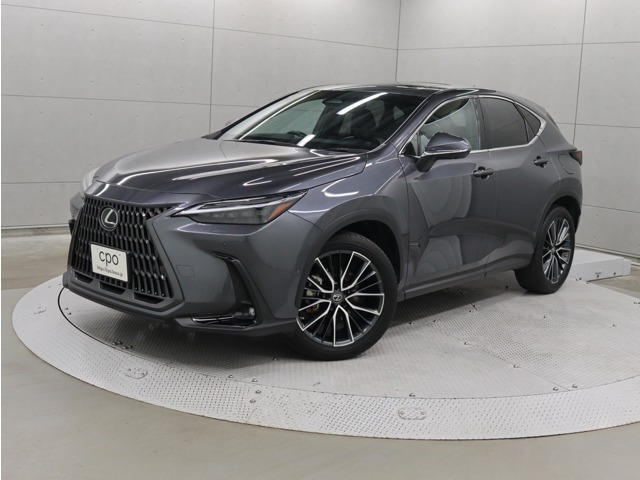 NX350h バージョンL