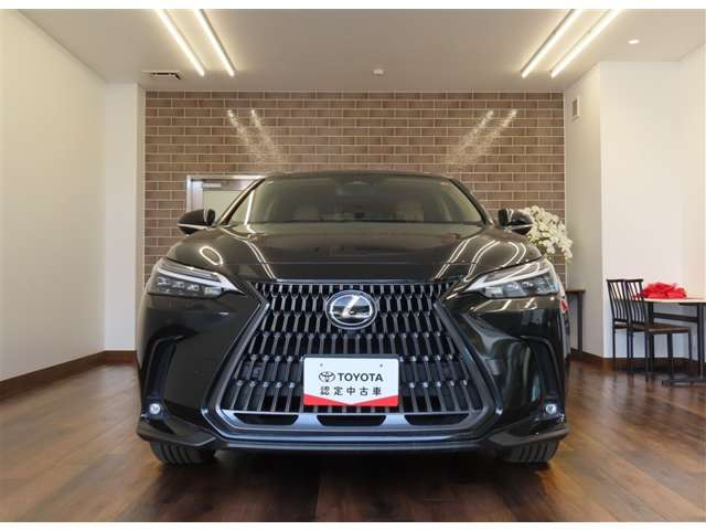 NX250 バージョンL