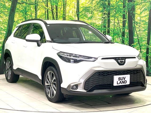 �������x�̃K���X�疌�ŝ����͂������A�㎿�ȃc���E����������B���O����_���J�����؂Ȉ��Ԃ�ی삵�A�F�����E�򉻂�h�~�B�u�e�X�v���b�V���R�[�g�v�A�u�e�v���~�b�T�R�[�g�v���炨�I�т��������܂��B