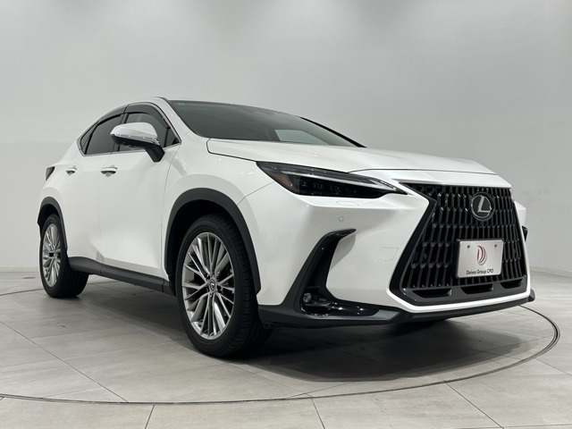 NX250 バージョンL