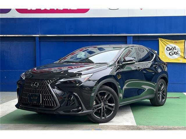 NX250 バージョンL