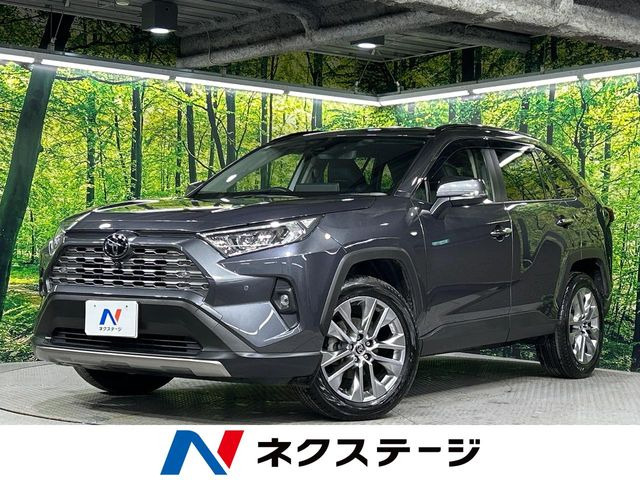 RAV42.0 G Zパッケージ 4WD