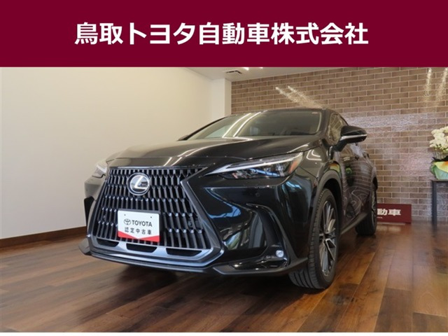 NX250 バージョンL
