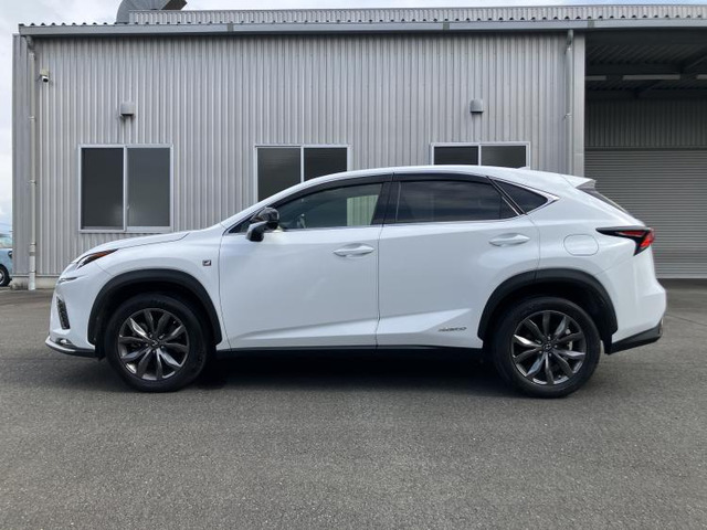 NX300h Fスポーツ