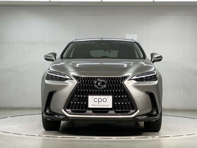 NX350h バージョンL