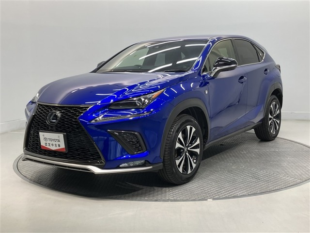 NX300 Fスポーツ
