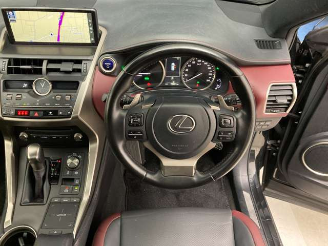 NX300h