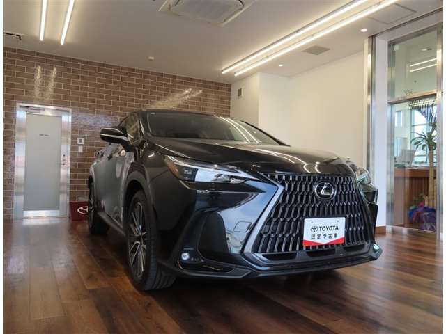 NX250 バージョンL