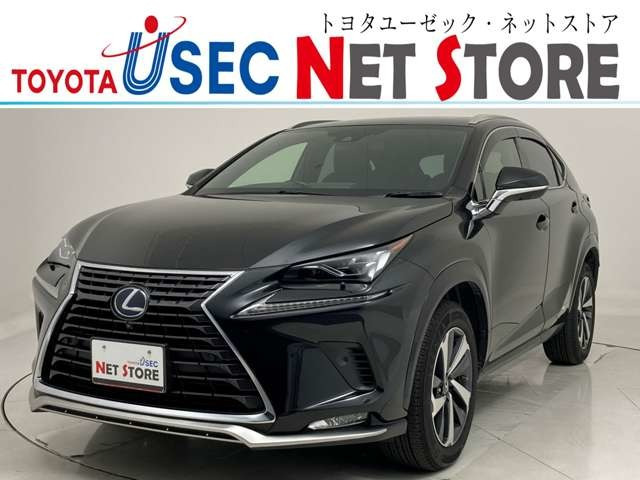 NX300h