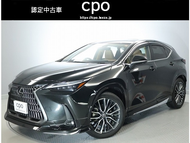 NX350h バージョンL